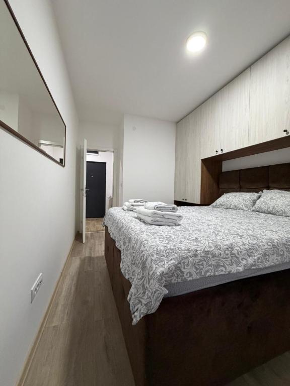 Vasiljević Apartmani Koviljača - 5