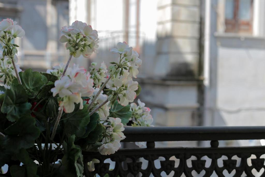 I Marinai - Suite in Centro Città - 2