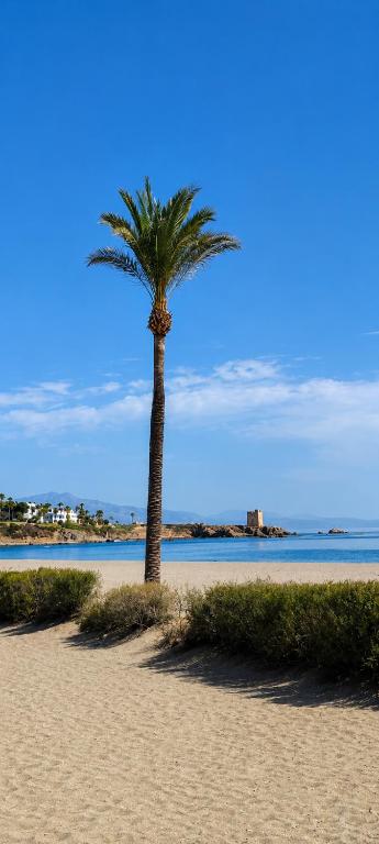 Marina Casares Beachside Apartment - 5