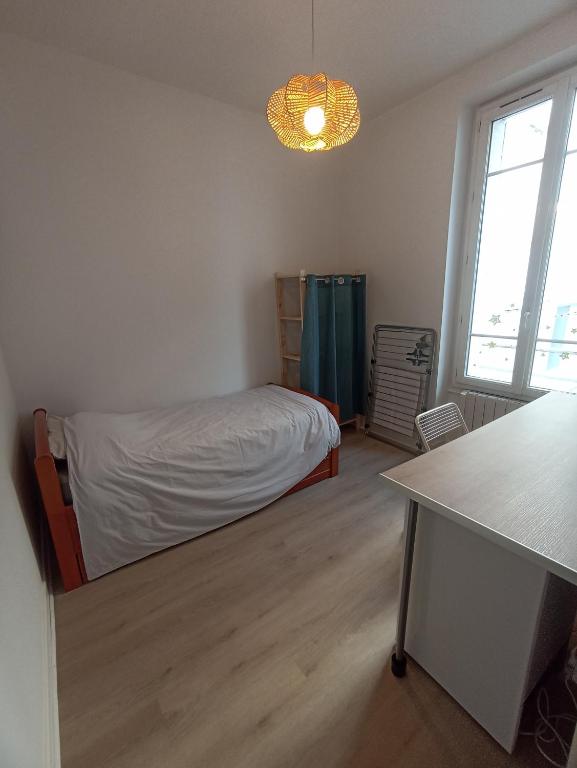 Studio vichy centre - 3