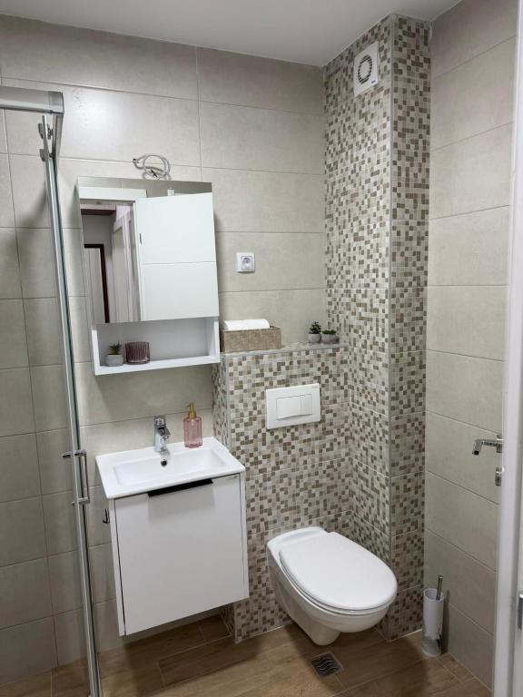 Vasiljević Apartmani Koviljača 1 - 2