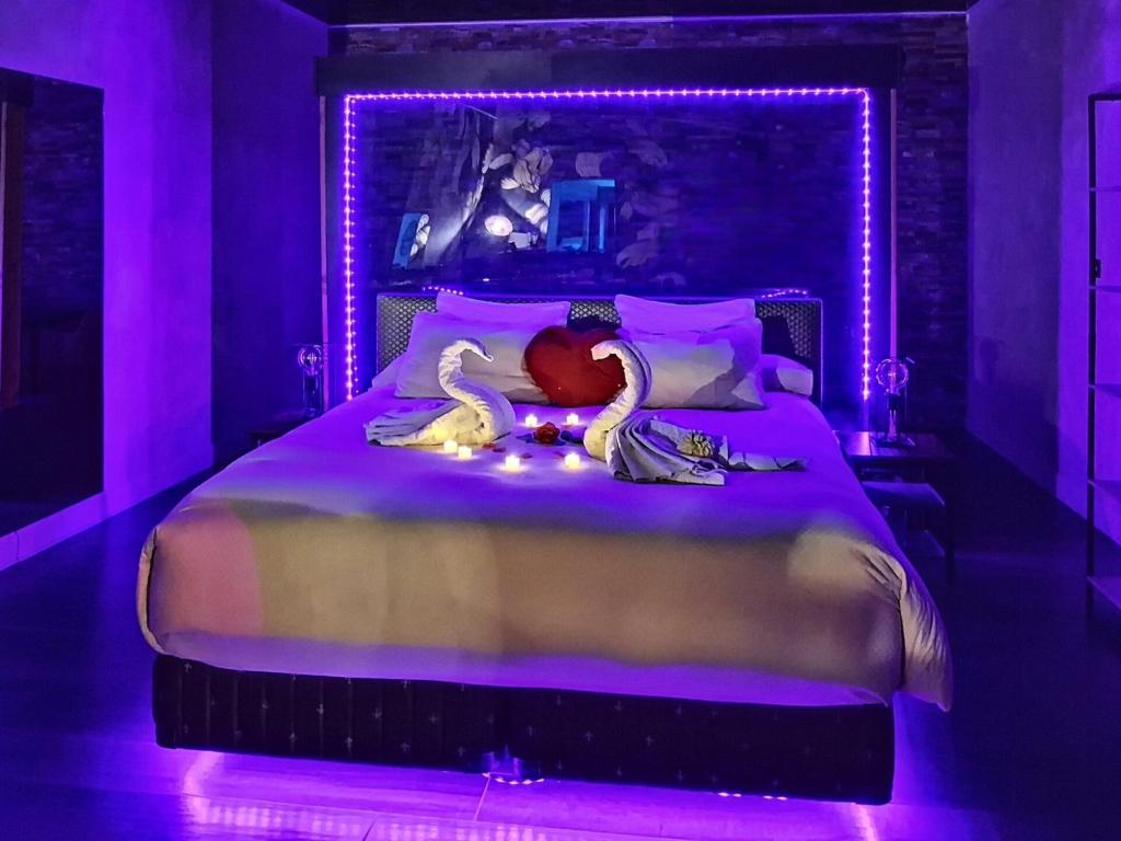 Suite avec Jacuzzi - Clim - Terrasse - Wi-Fi - 4