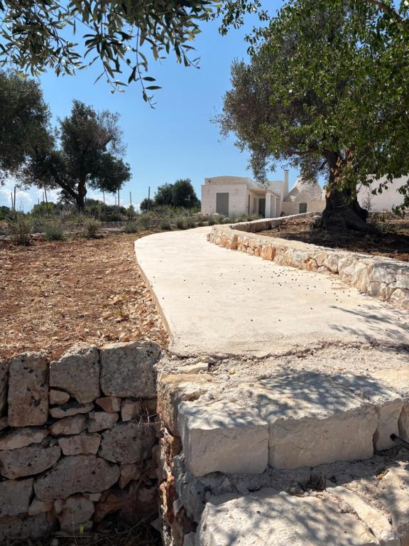 Trullo botanico - 3