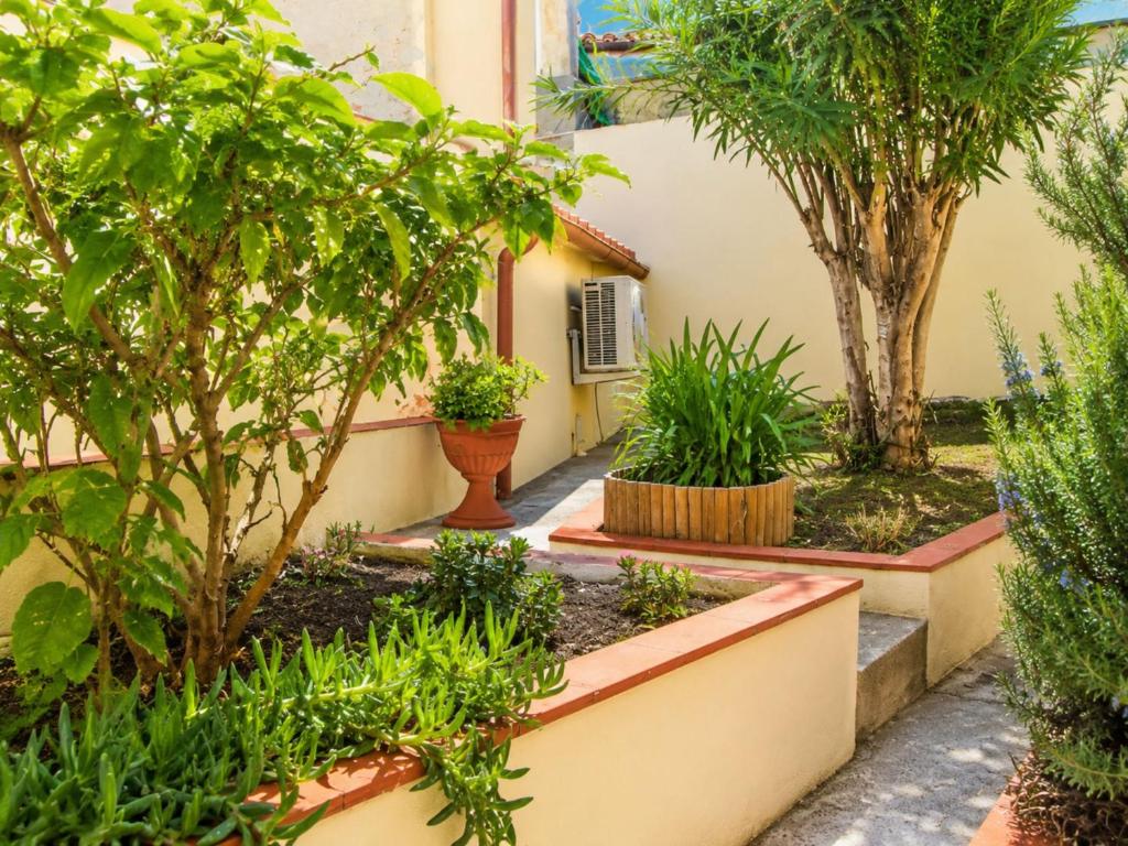 Casa della Campana - Elba Affitti - 1