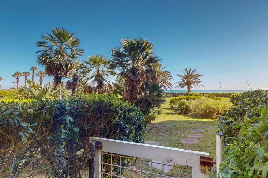CR220-B19 Appartement 4 personnes Canet en Roussillon - 3