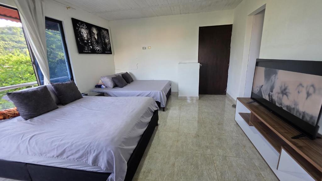CASA HOTEL COCORNa - 3