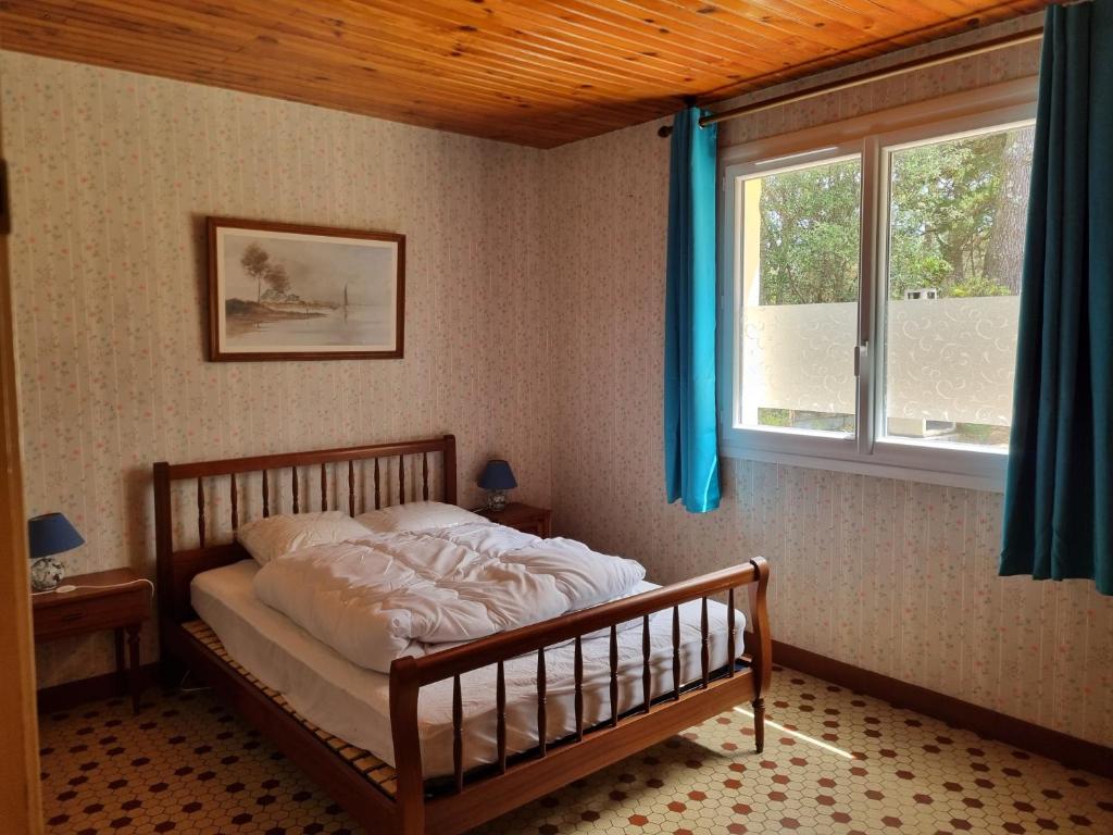 Maison entre forêt et océan - Dog Friendly - 4