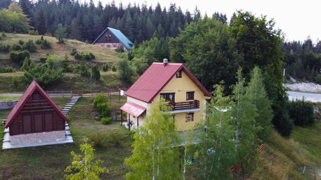 Grand Rabbit House on the Hillock - 3