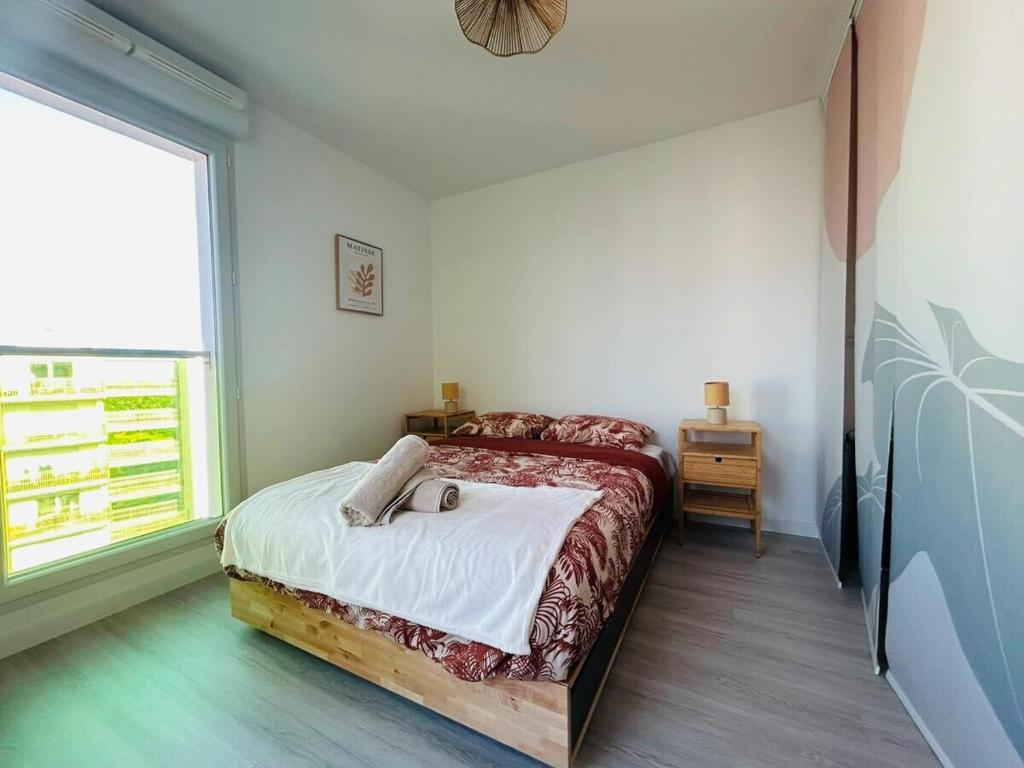 Casa Palmera - 5
