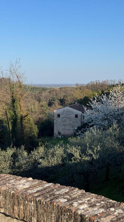 DOLCE VITA IN TUSCANY Cottage - 4
