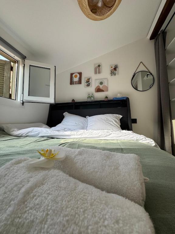 Charming new studio for 4 people - Garibaldi & Tram - 3