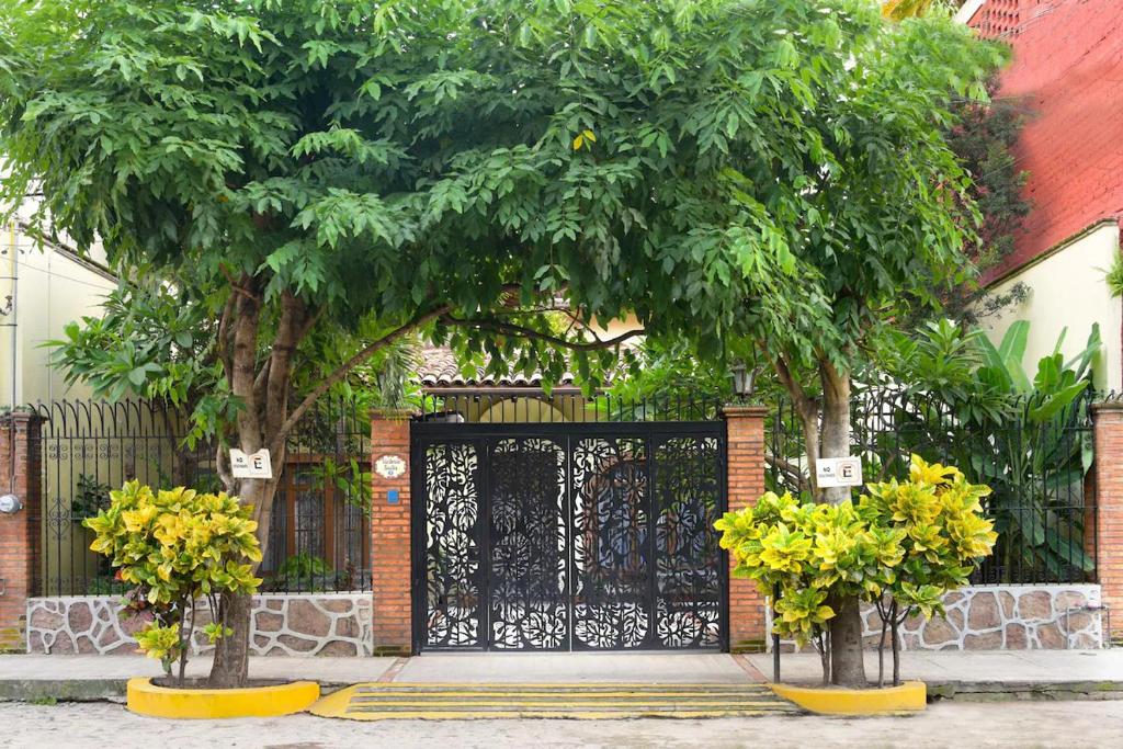 Zona Romántica Suites — Full Boutique Building - 3