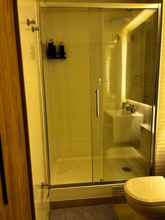 Vive una experiencia hotelera, ideal para familias - 3