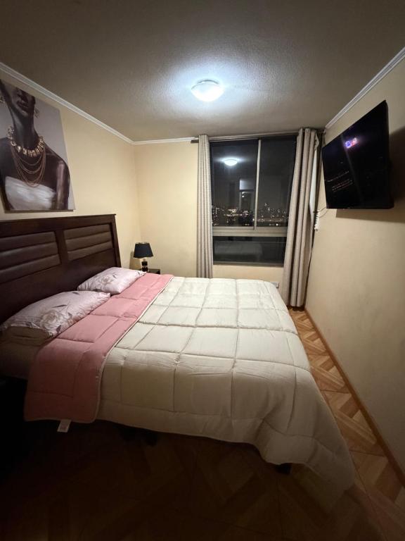 Andina suite 9 - 2