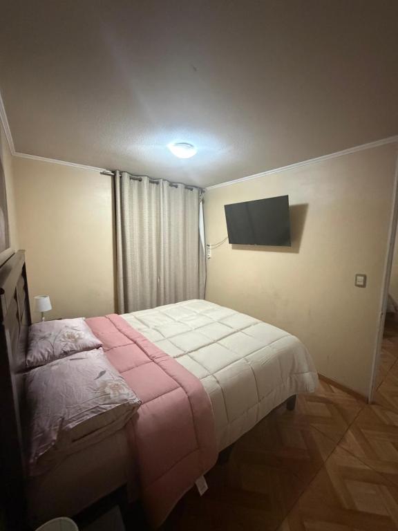 Andina suite 9 - 4