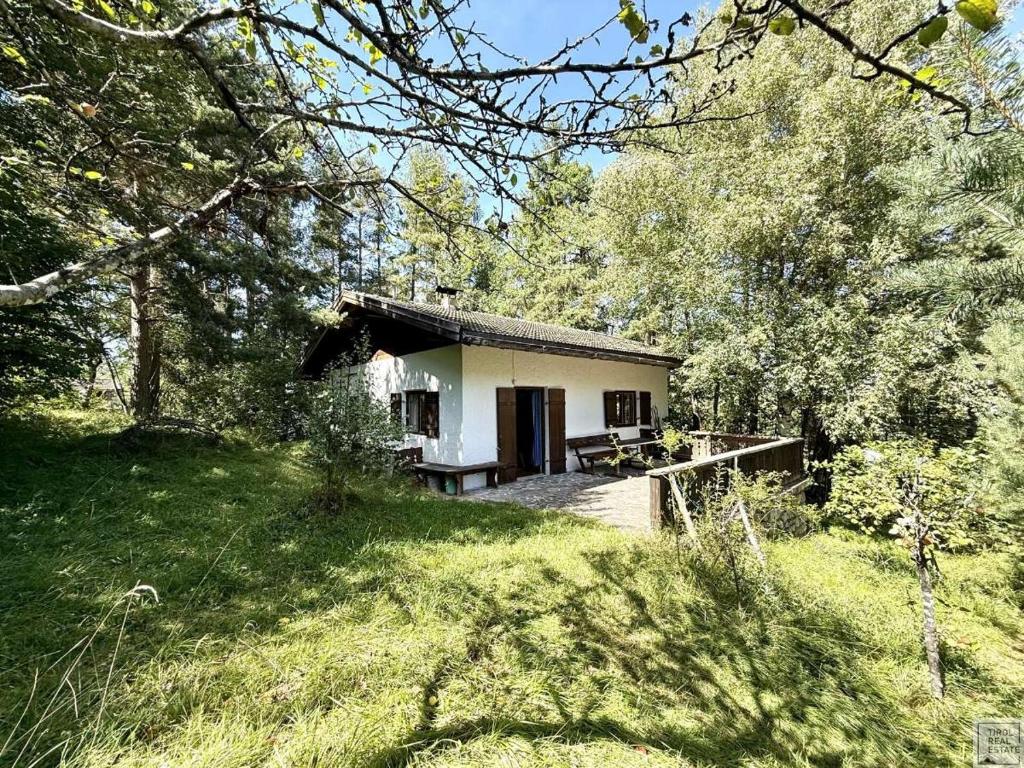 Little House in a wood - 2