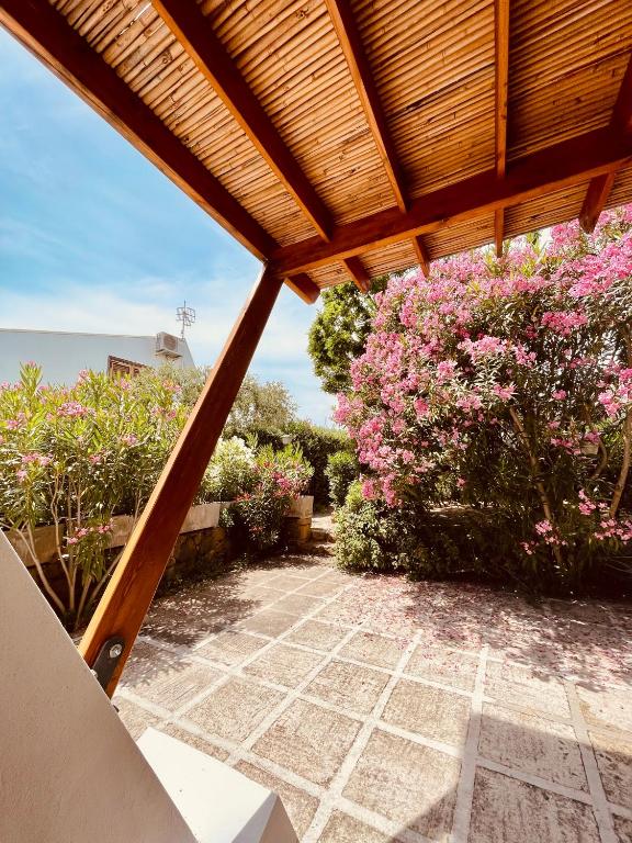 Casa Sciusca - 4