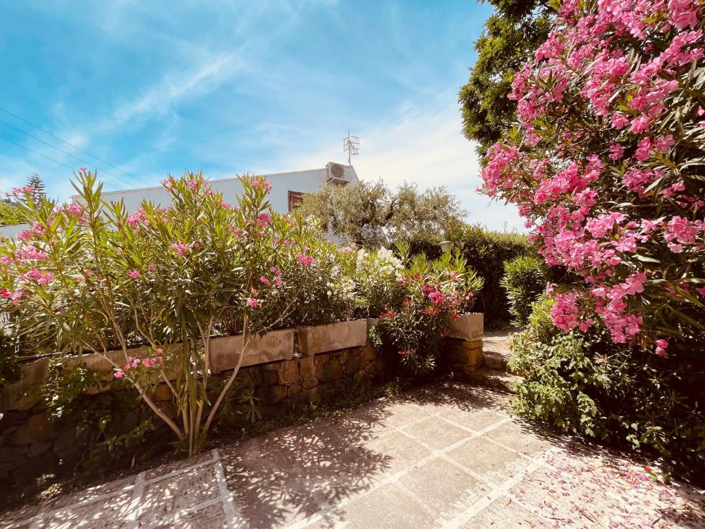 Casa Sciusca - 5