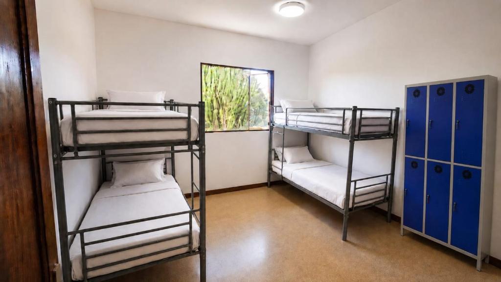 Guayaba Hostel - 3