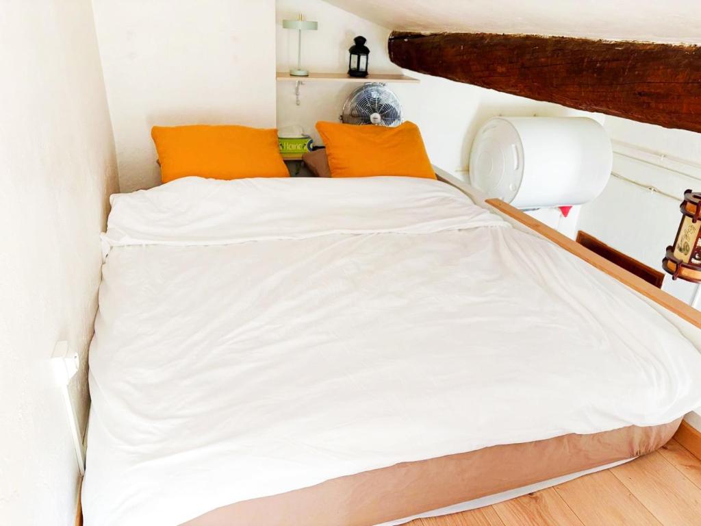 Appartement Hypercentre - 4
