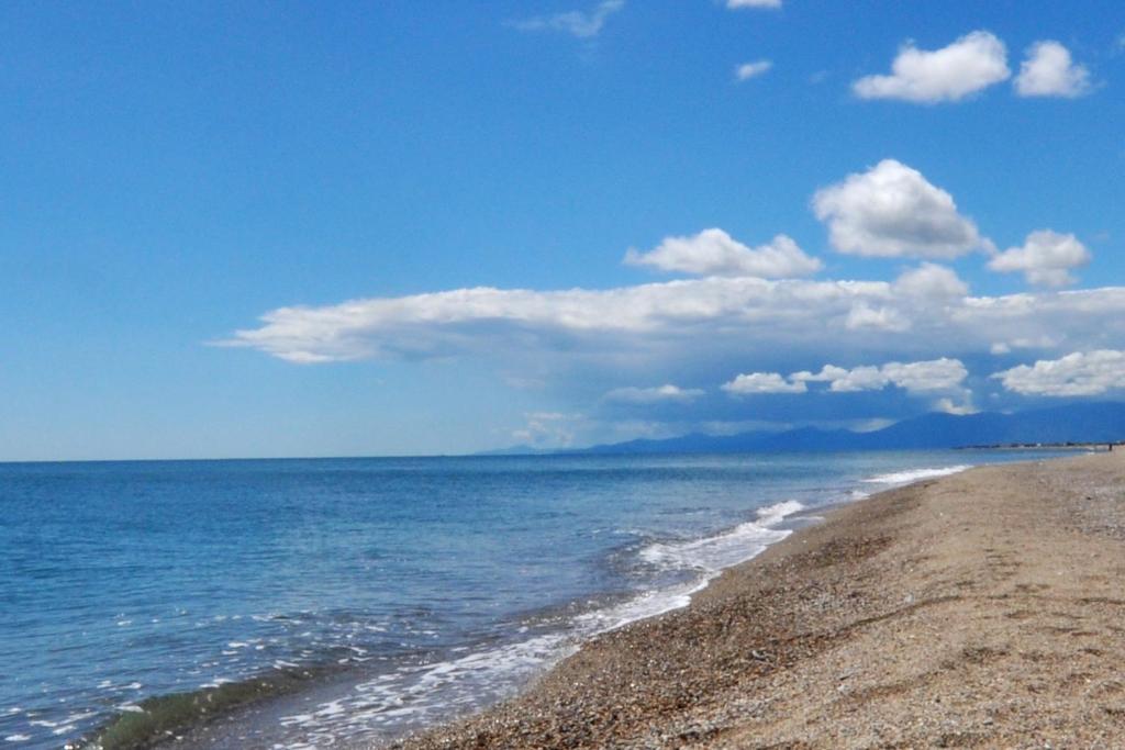 Cosy Catalan apartment, AC, walk to beach and shops - 2