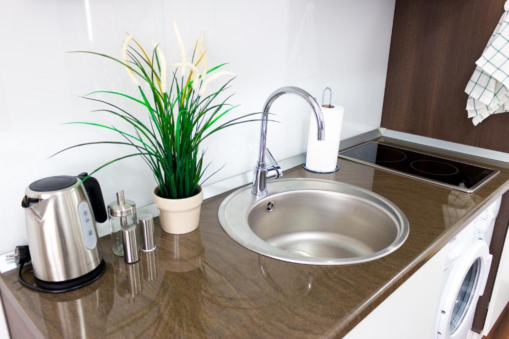 Grand Central Accommodation - Doamnei photo
