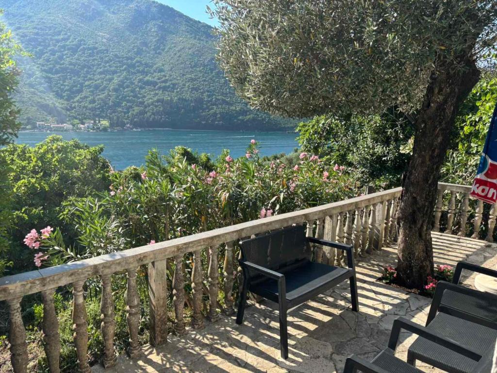 Apartman Irena - 1