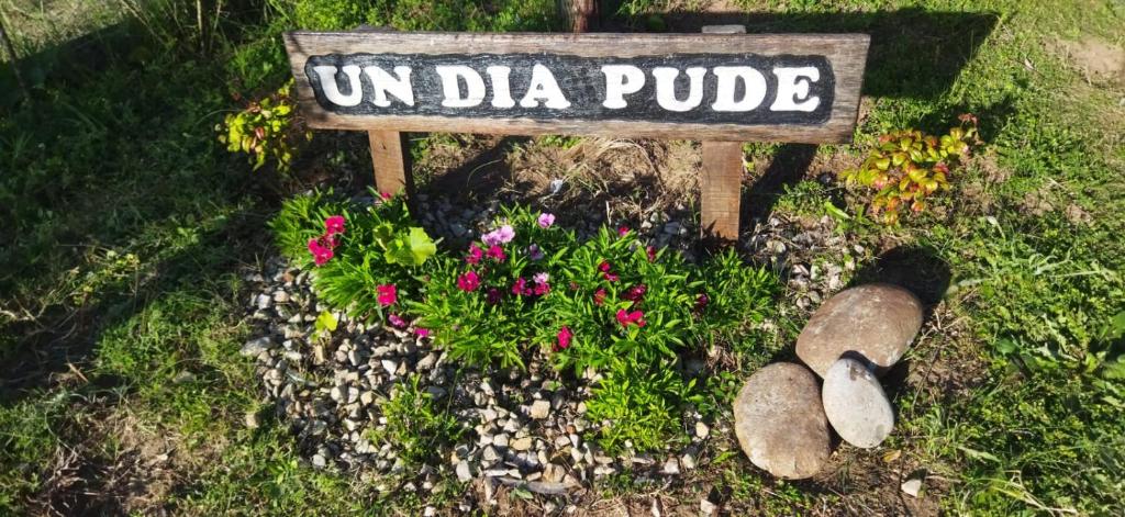 Un dia pude - 3