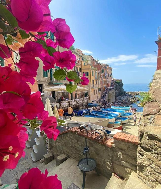 Blue Grotto of Riomaggiore - 3