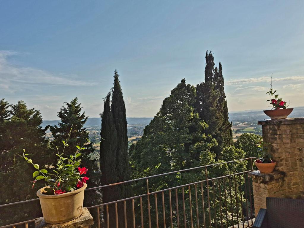 Brizi 5 - 3