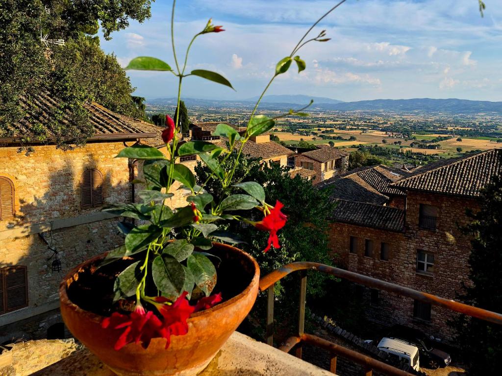 Suite Assisi - 3