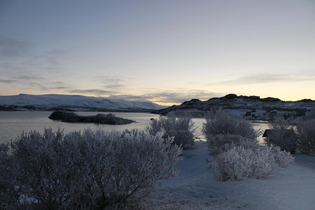 Surrounding environment