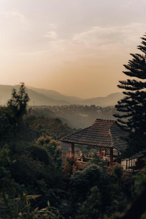 Surrounding environment