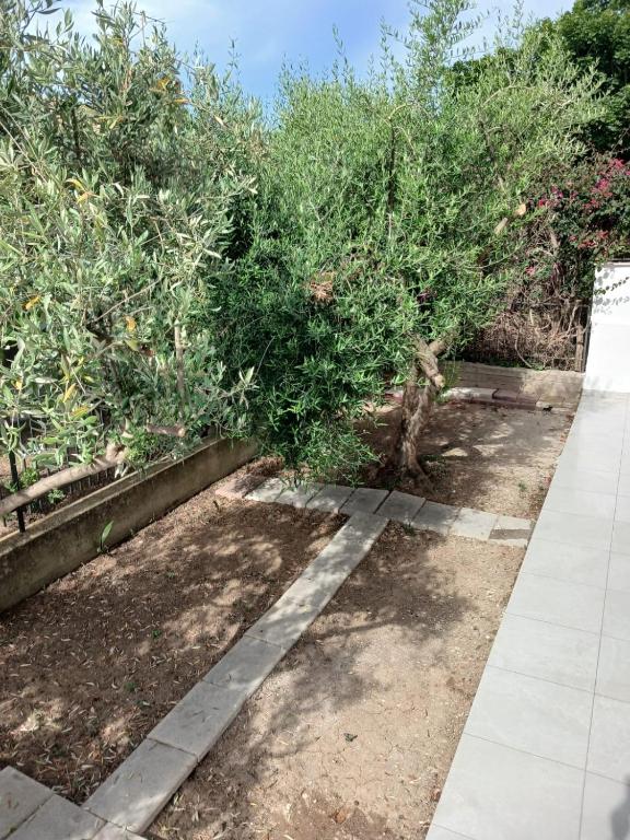 Villa dei Pini - 2