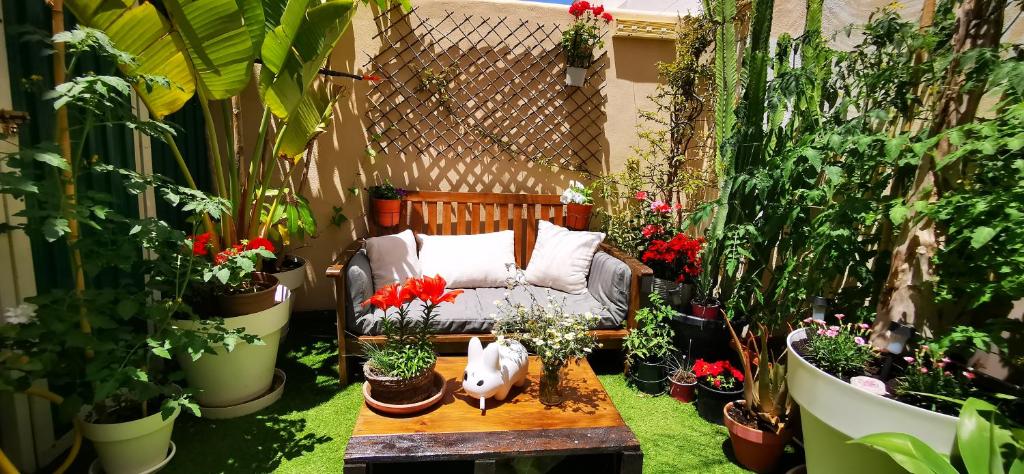 Tarifa central Duplex with private parking and patio - 4