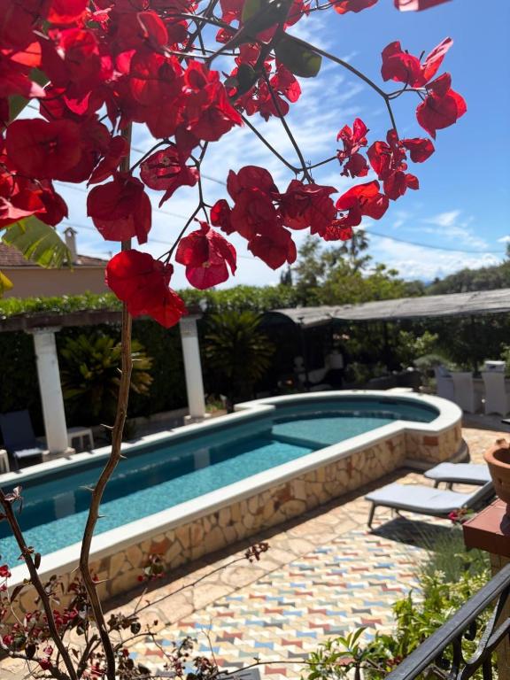 Très beau Studio lumineux dans Villa avec piscine - 2