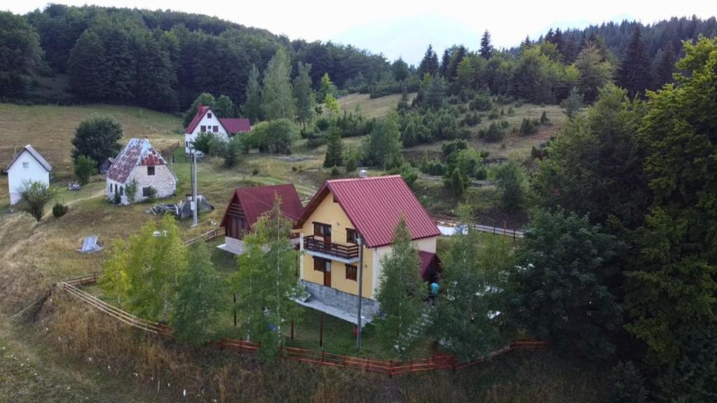 Grand Rabbit House on the Hillock - 2