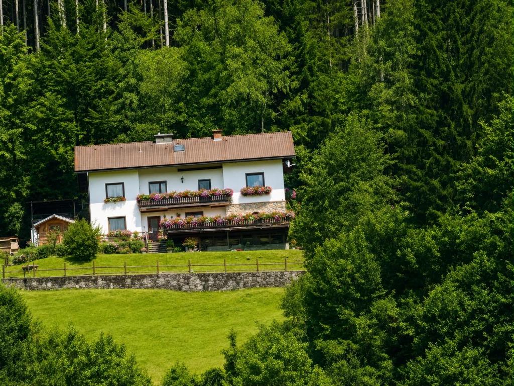 Ferienwohnung im Nationalpark Gesäuse - 1