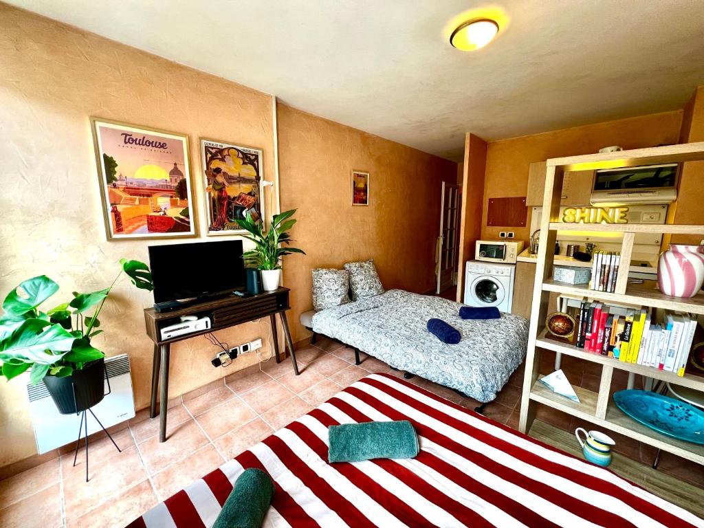 Escapade toulousaine, studio confort et bien situé - 2