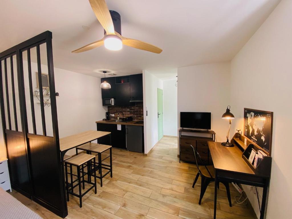 Grand Studio tout équipé - Quartier Lahitolle - 4