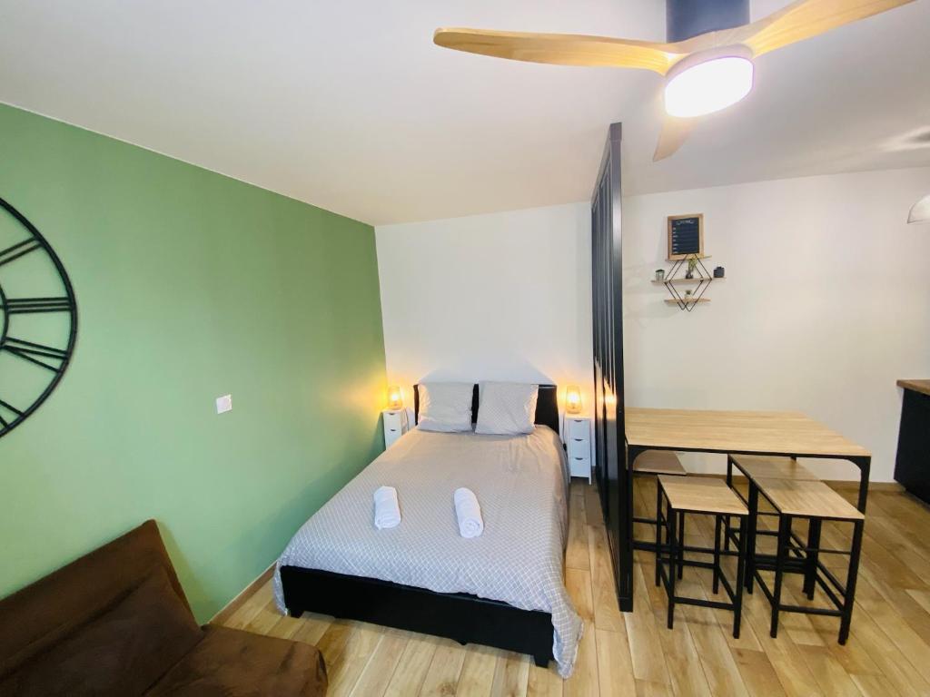 Grand Studio tout équipé - Quartier Lahitolle - 2