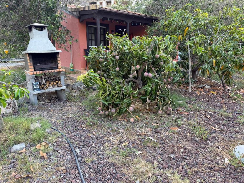Finca Nim 1 - 5
