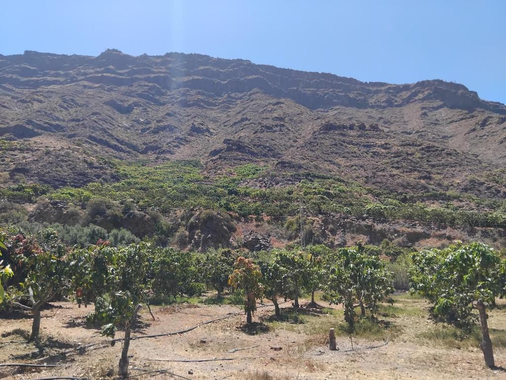 Finca Nim 1 - 4
