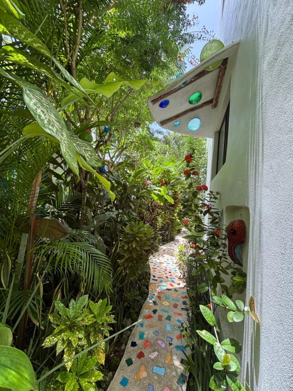 Maison Bacalar - 4