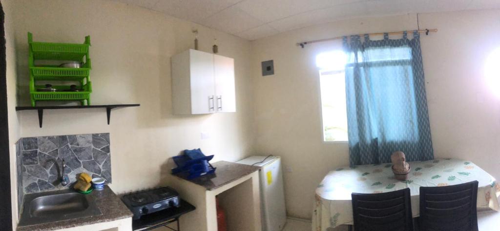 Suite Palmer - 4