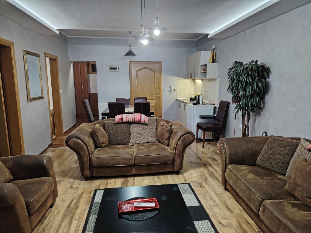 Apartments Vila Knez - 4