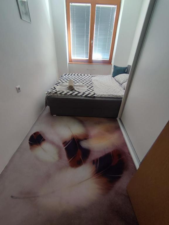 Odmor u Sarajevu na Grbavici - 1