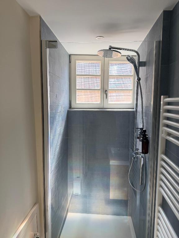 Le Gîte Azur - Charme d'un appartement dans une maison alsacienne - Hypercentre de Colmar - 5