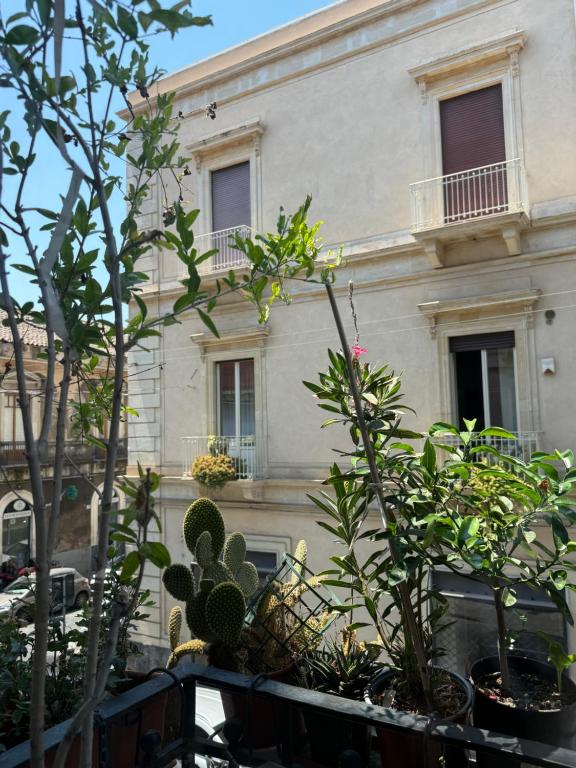 Crispi Accomodation B&B - 5