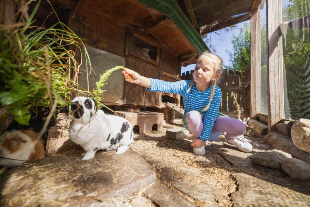 Familien- & Vitalhotel Auenhof - 4